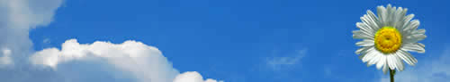daily horoscope logo