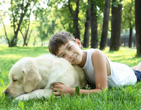 Pisces Zodiac Pets